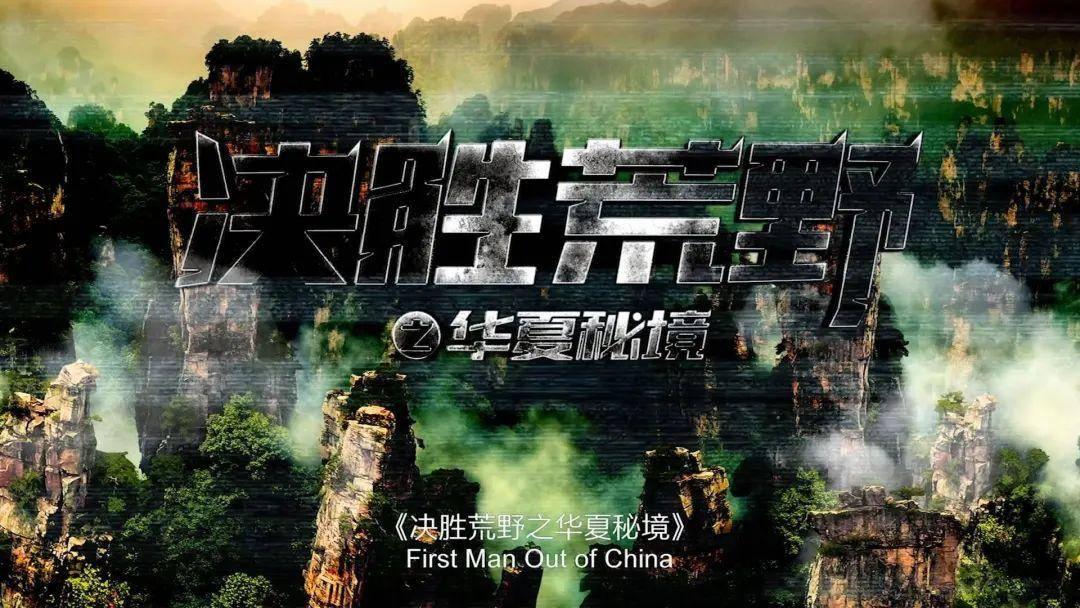拯救树精灵