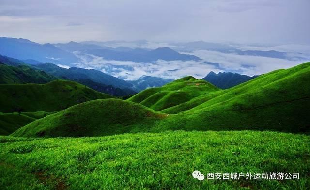 寻找丢失的婴儿
